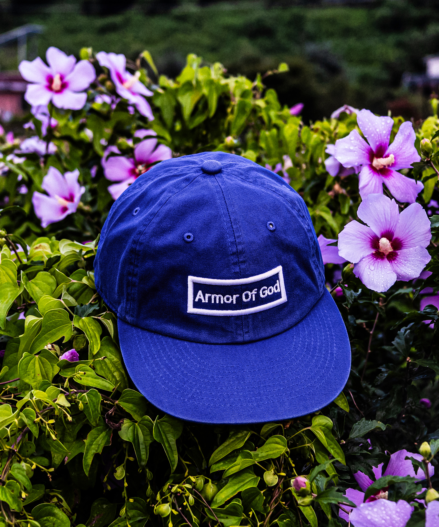 아머오브갓 박스로고 평챙 플랫캡 블루 (ARMOR OF GOD flat cap)