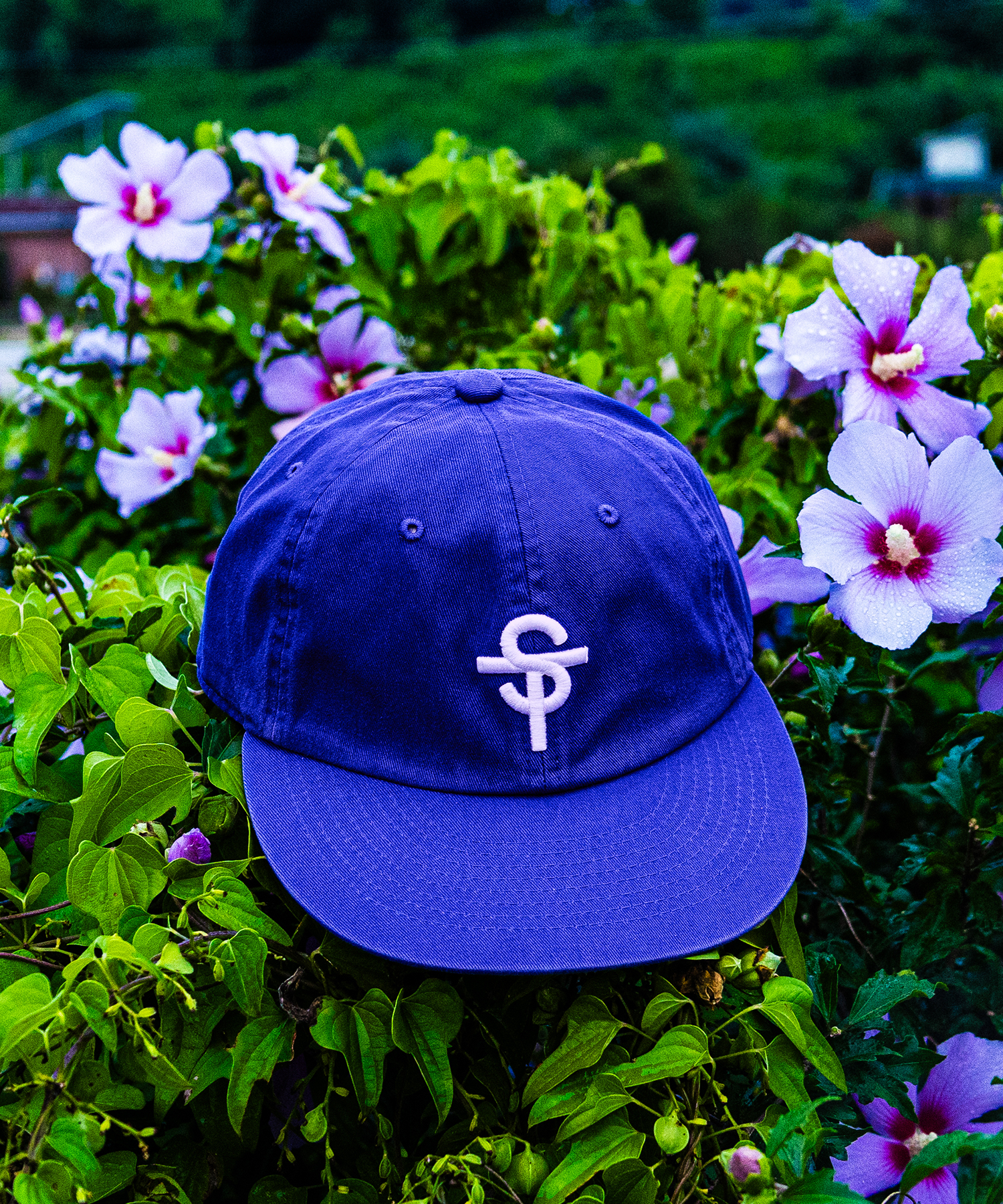 스테이스트롱 평챙 플랫캡 블루 (ST stay strong flat cap)