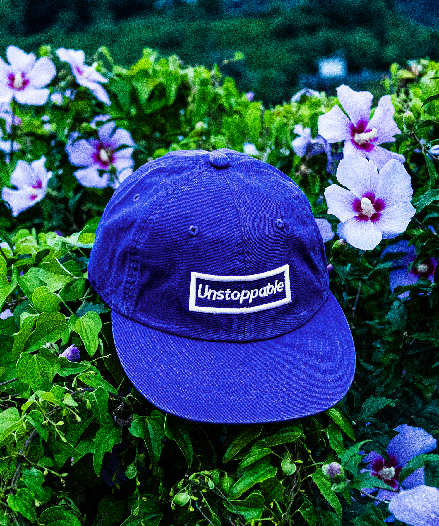 언스탑퍼블 박스로고 플랫캡 평챙 블루 (UNSTOPPABLE box logo flat cap)